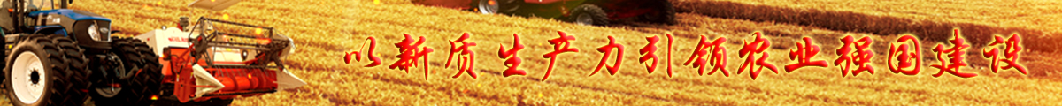 新質(zhì)生產(chǎn)力引領(lǐng)農(nóng)業(yè)強(qiáng)國(guó)建
